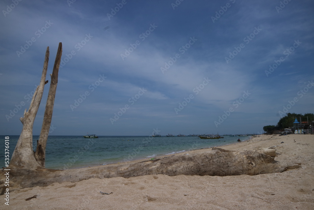 Beautiful view on the beach. Old wood lying on the beach sand with blue sky. Great for dramatic backgrounds Beautiful view on the beach. Old wood lying on the beach sand with blue sky. Great for dramatic backgrounds