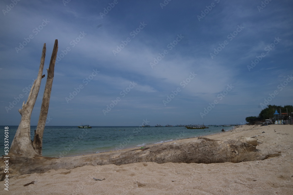 Beautiful view on the beach. Old wood lying on the beach sand with blue sky. Great for dramatic backgrounds