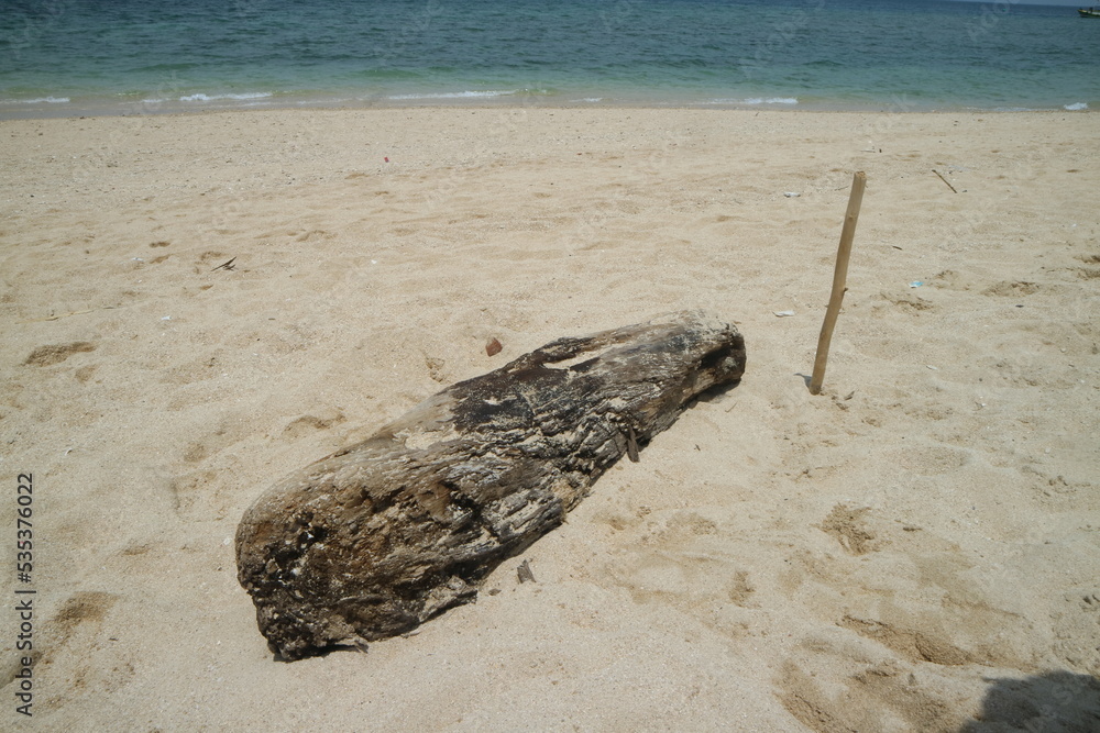 Beautiful view on the beach. Old wood lying on the beach sand with blue sky. Great for dramatic backgrounds Beautiful view on the beach. Old wood lying on the beach sand with blue sky. Great for dramatic backgrounds