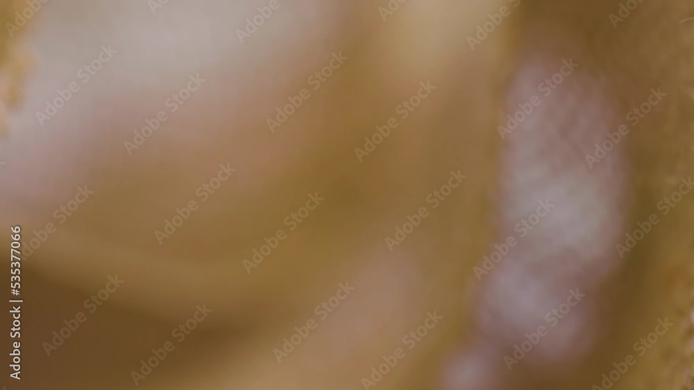 Fibers of loose hemp fabric coming in and out of focus in shallow depth of field making interesting background footage Fibers of loose hemp fabric coming in and out of focus in shallow depth of field making interesting background footage