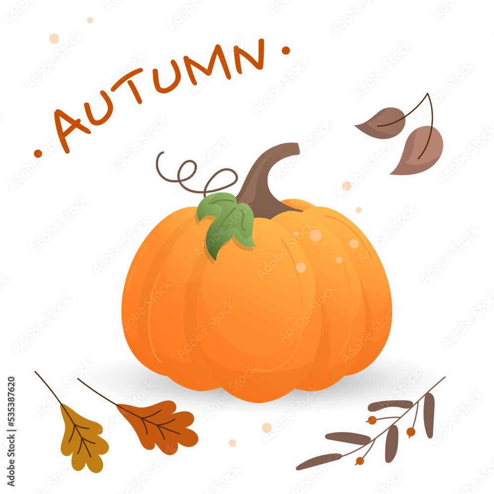 Vector autumn pumpkins on white background. Vector autumn pumpkins on white background.