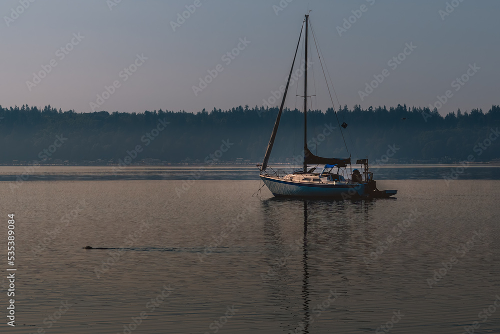 2022-10-03 A SAILBOAT ANCHORED IN THE PUGET SOUND WITH A SEAL SWIMMING BY NEAR THE KAYAK POINT COUNTY PARK IN SNOHOMISH COUNTY.