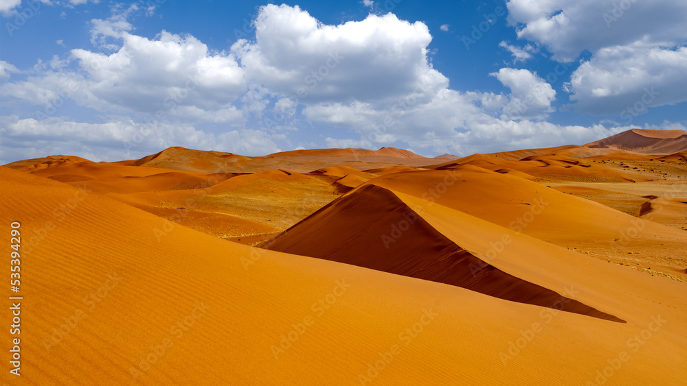 huge sand dunes in the Namib Desert with trees in the foreground of Namibia