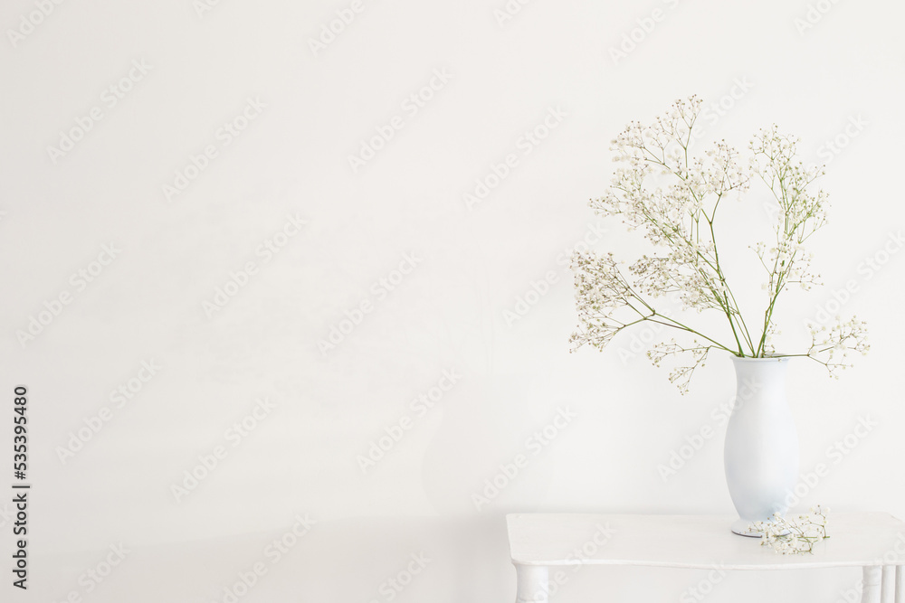 Obraz premium gypsophila in white vase on old wooden shelf on white background
