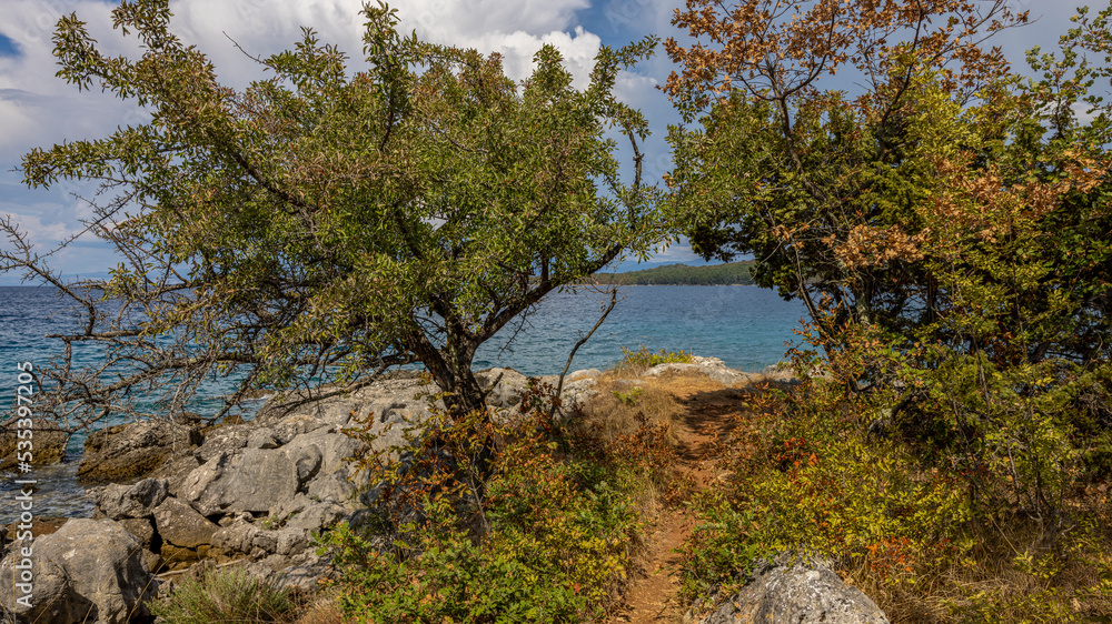 Fototapeta premium Krk - Kroatien