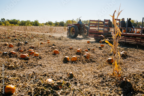 tractor ride in a pumpkin patch