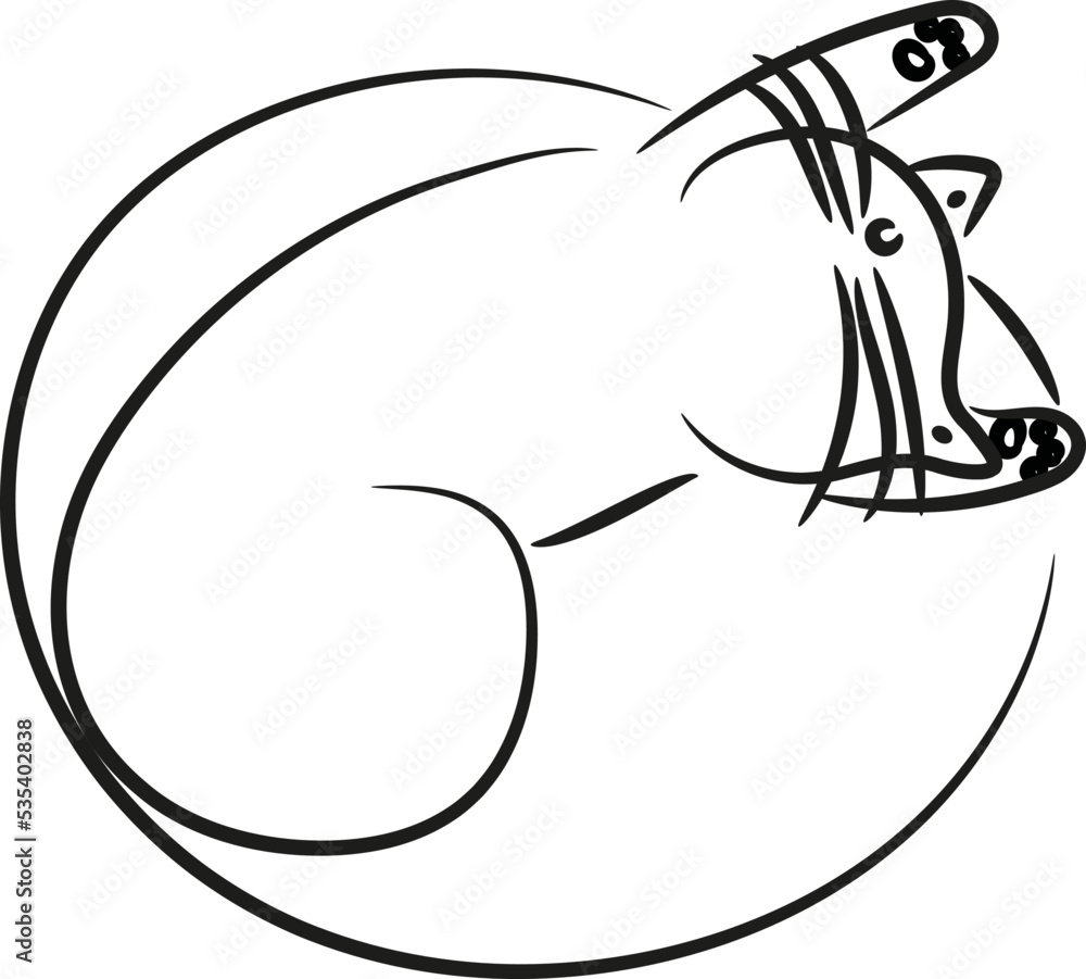 Fototapeta premium Cat on pillow, illustration, vector on a white background.