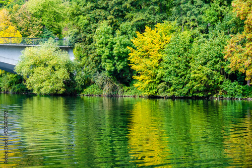 autumn in the park