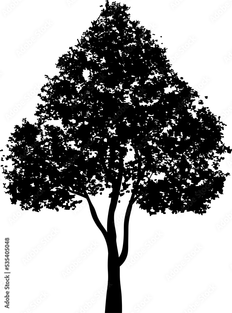 Fototapeta premium Tree silhouettes for landscape design. PNG illustration.