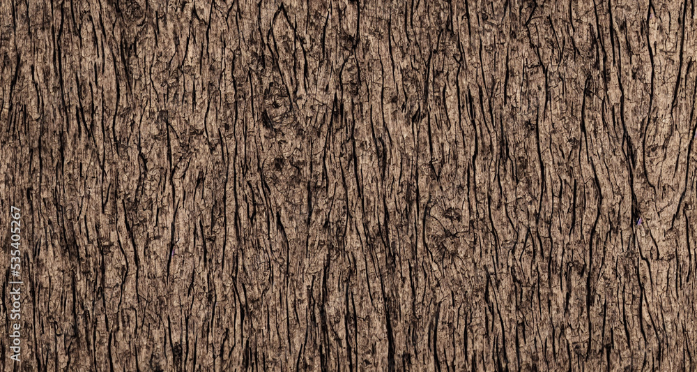 sawn wood structure, close-up, drawing of a cut of a tree,