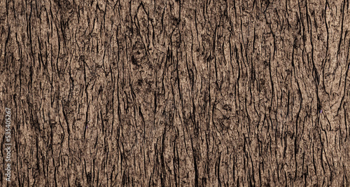 sawn wood structure, close-up, drawing of a cut of a tree,