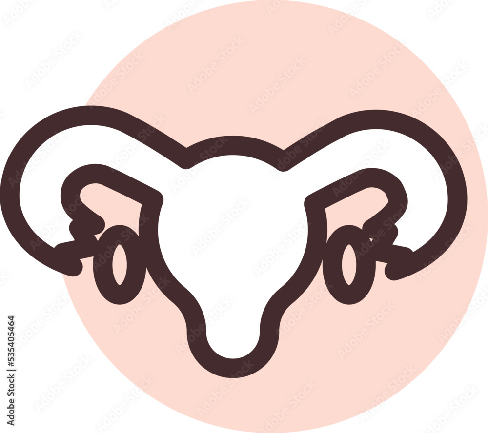 Womans uterus, illustration, vector on a white background. Womans uterus, illustration, vector on a white background.