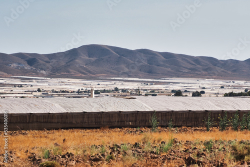 Greenhouses in Almeria