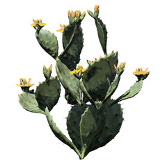 Gordijnen Cactus Vijgcactus vooraanzicht in woestijn  © Elathi
