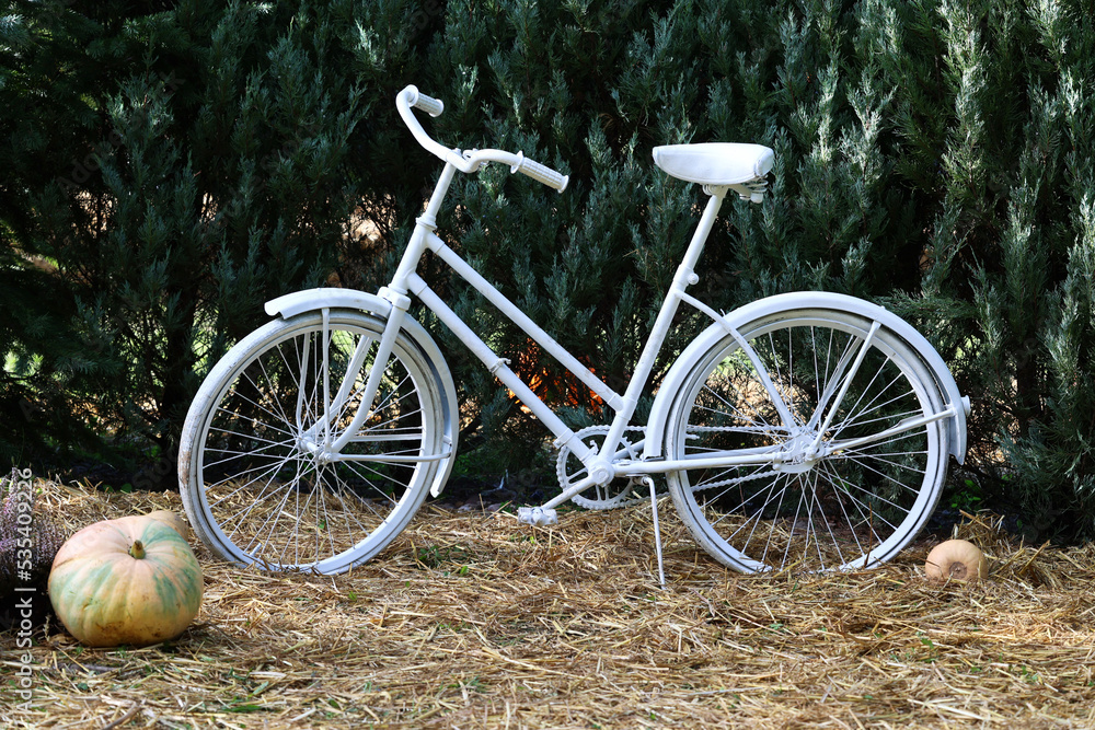 Stylowy stary rower stoi jako ozdoba w mieście. - obrazy, fototapety, plakaty 