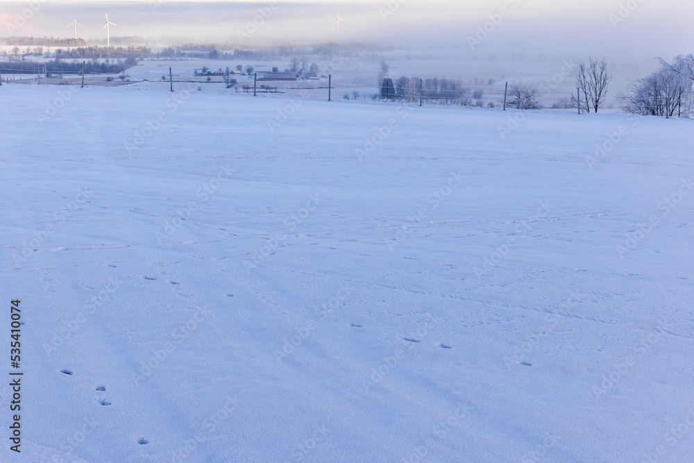 Landscape view with animal track in the snow
