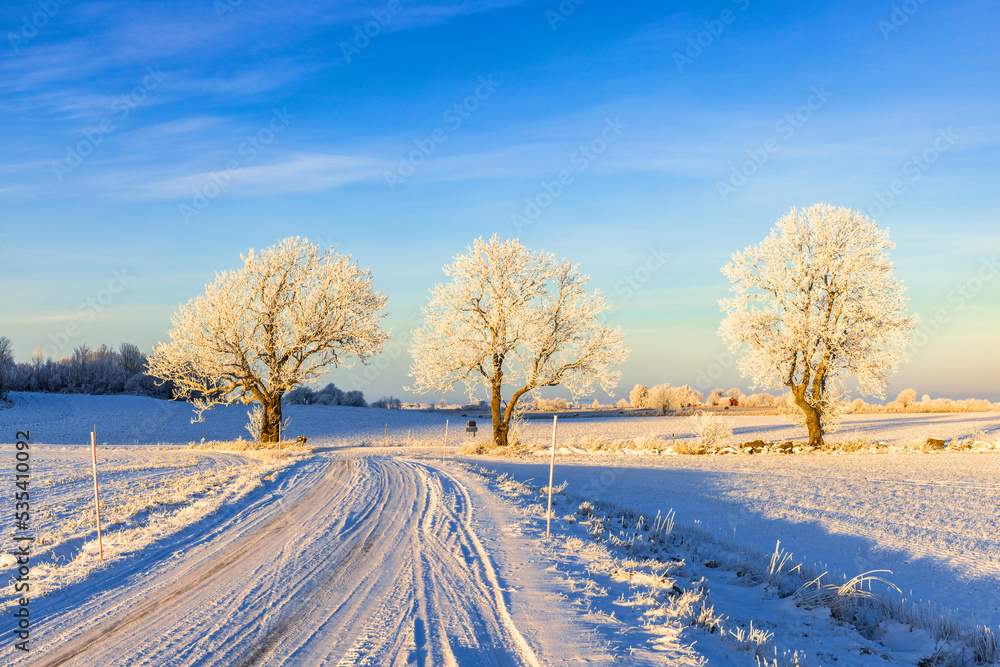 Winter road in the country with frost on the trees