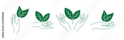 hand and leaves line art vector illustration 