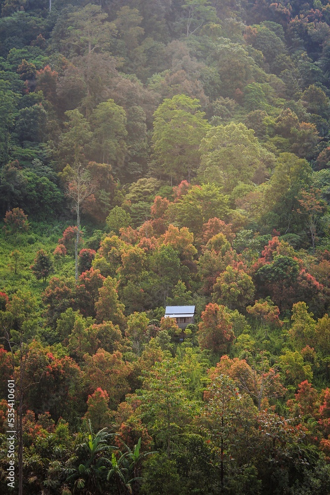 Cinnamon garden 