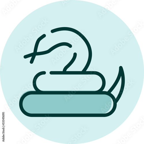 Pet snake, illustration, vector on a white background.
