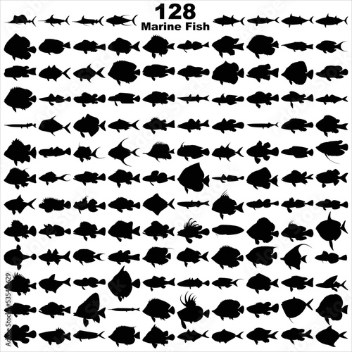 Layered editable vector illustration silhouette of 128 marine fishes.