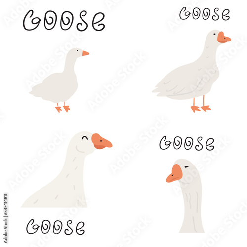 Gooses. Set of flat vector illustrations on white background.