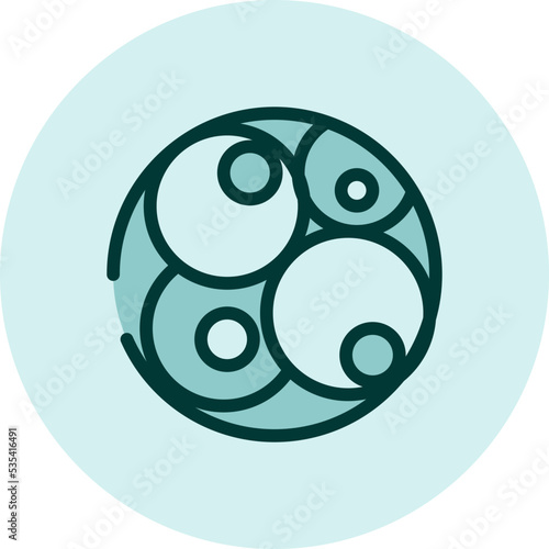 Embriology science, illustration, vector on a white background.