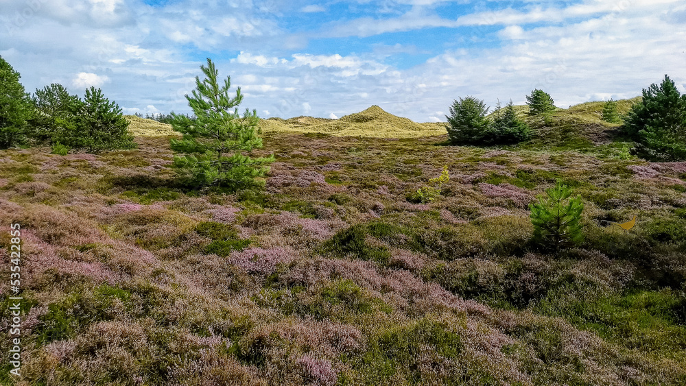 scenic view of landscape