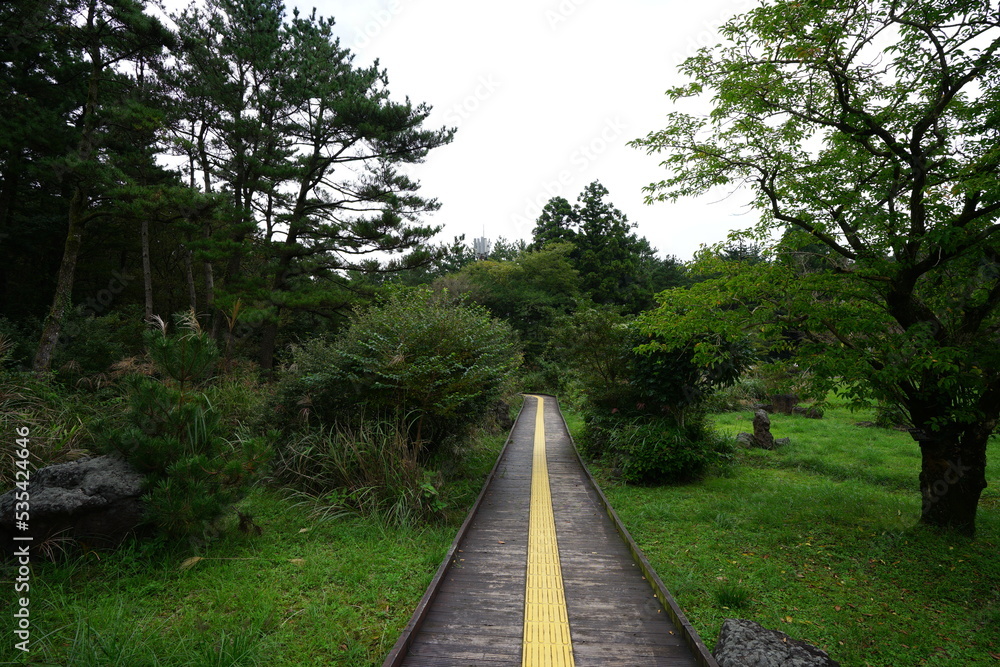 fine path in the park