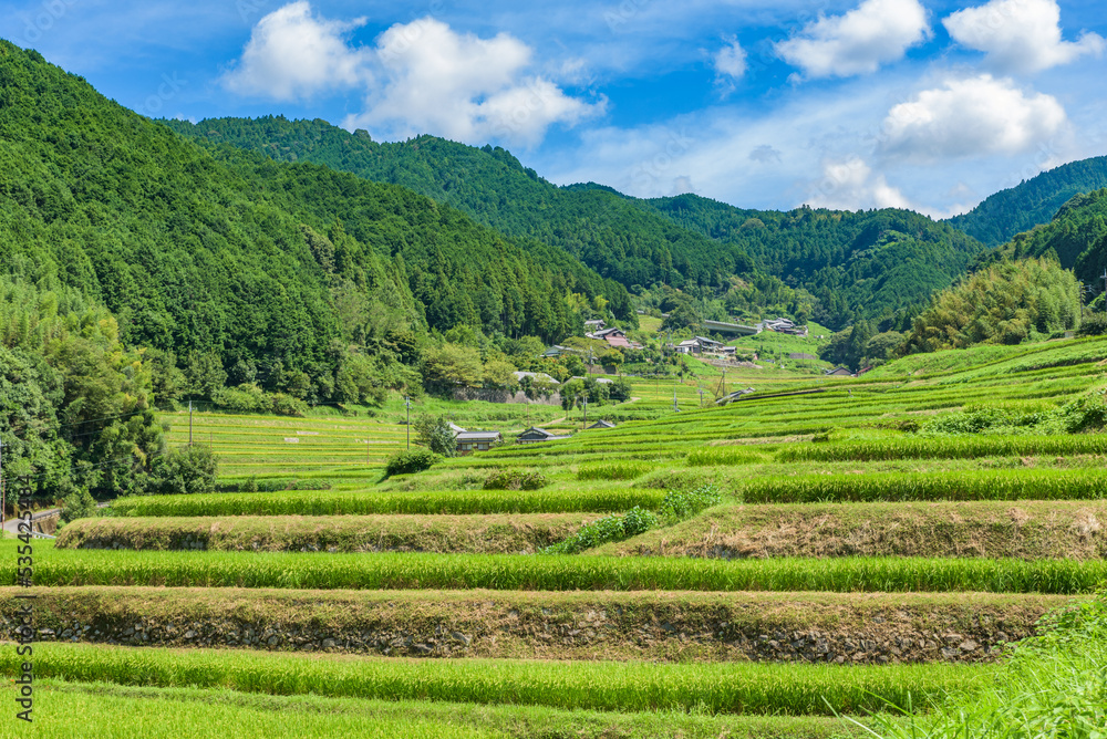 Rice terraces landscape in Asuka-mura Village, Nara Prefecture, Japan