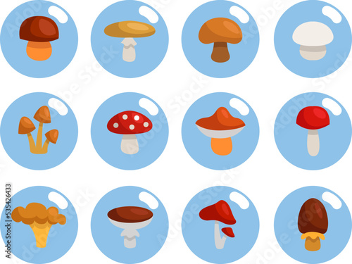 Mushroom season, illustration, vector on white background.