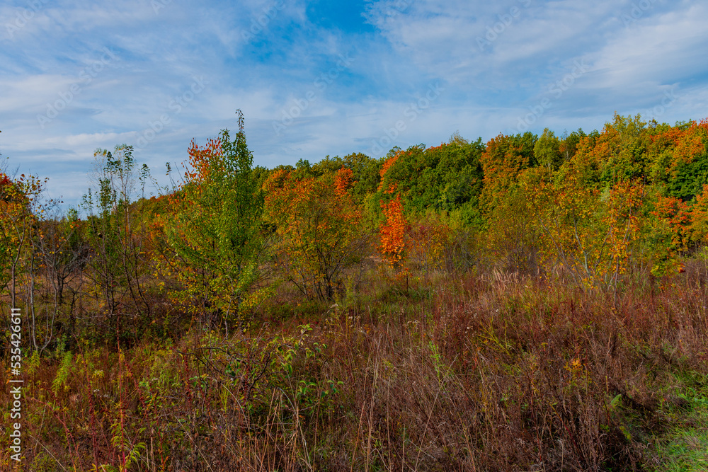 Fototapeta premium Walking through the autumn forest in Samarskaya Luka National Park!