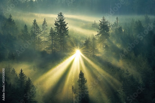 Natural Forest of Spruce Trees  Sunbeams through Fog create mystic Atmosphere. High quality illustration