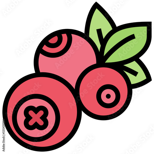 Blueberry icon
