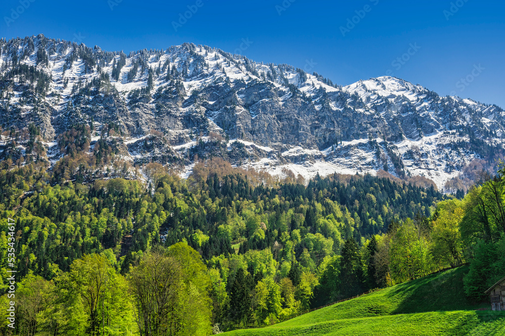 landscape of icecap and green field in alps