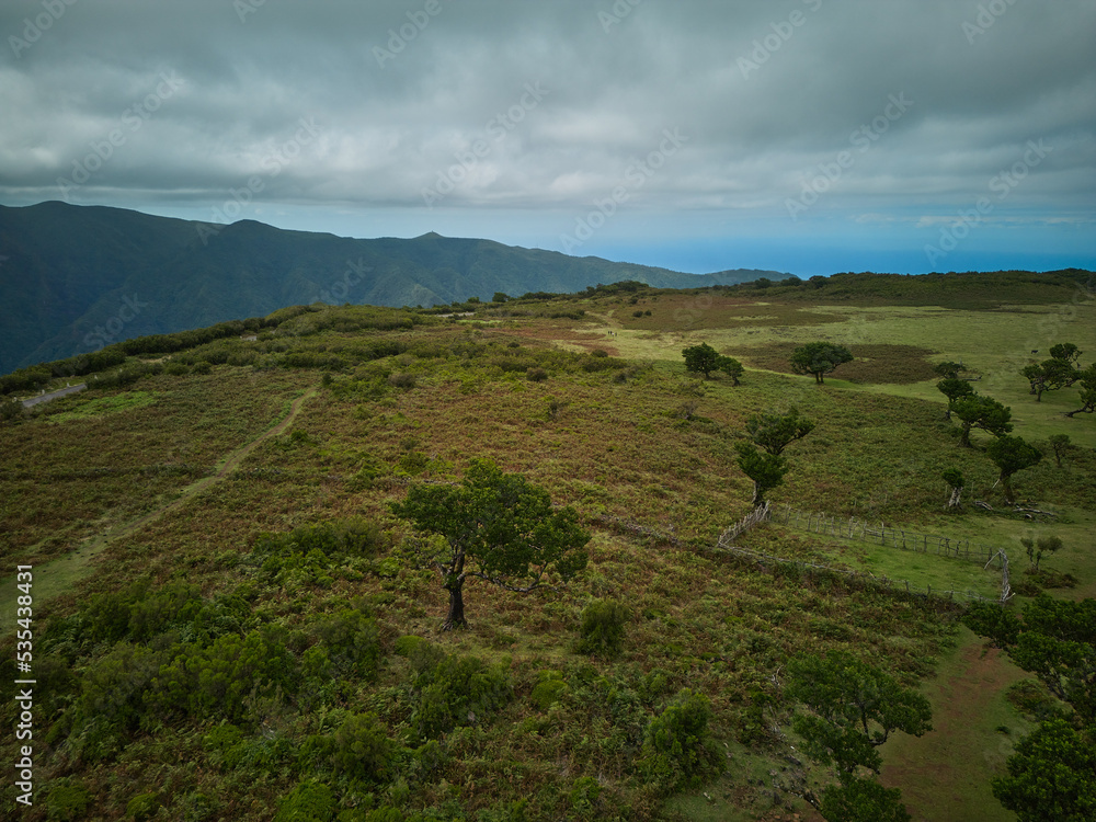 Drone view to Fanal on Madeira mystic trees and forest