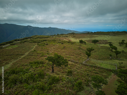 Drone view to Fanal on Madeira mystic trees and forest