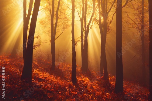 Black Forrest in Germany. Orange Evening Sun shines through the golden foggy forest Woods. Magical Autumn Forrest. Colorful Fall Leaves. Romantic Background. Sunrays before Sunset. Landscape format © 2rogan