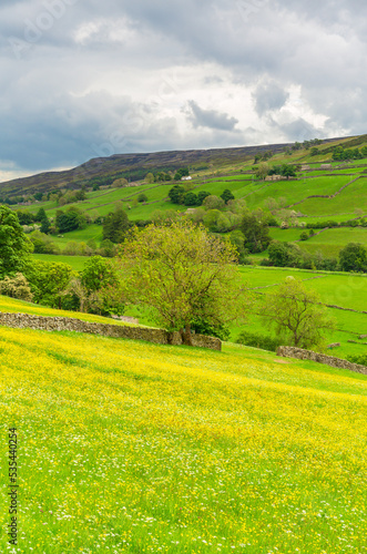 Portrait of Swaledale's wildflower meadows in early Summer with bright yellow buttercups, lush green fields and steep fellsides. Swaledale, Yorkshire Dales, UK. Horizontal. Copy space.