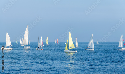 Group of sailboats in the sea