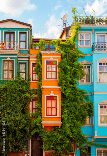 Old street of Istanbul with colorful houses © Irina