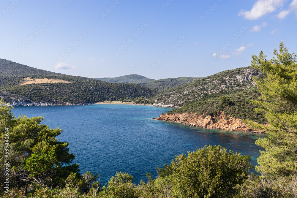 Climate balance importance for nature on example of Aegean Sea Greek coast: sun and moisture abundance makes it possible for vegetation to develop violently and not be burnt out, Chalkidiki, Greece