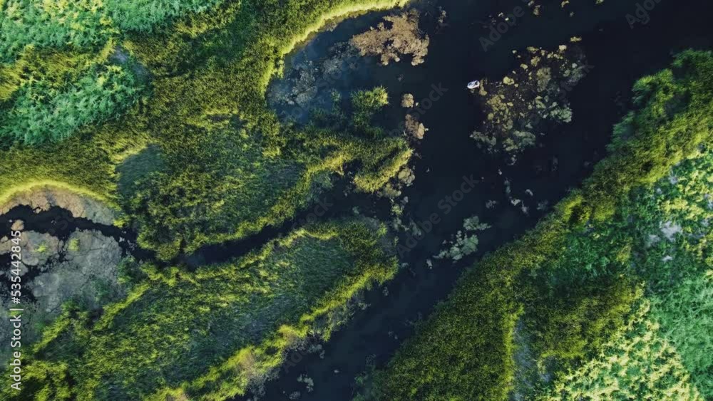 Aerial top down view of wetland in summer season. Aerial top down view of wetland in summer season.