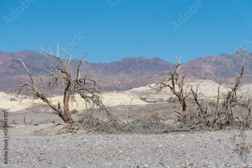 death valley in california  photo