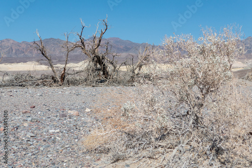 death valley in california  photo