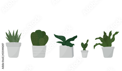 Set of decorative indoor plants for home or office interior. Vector illustration