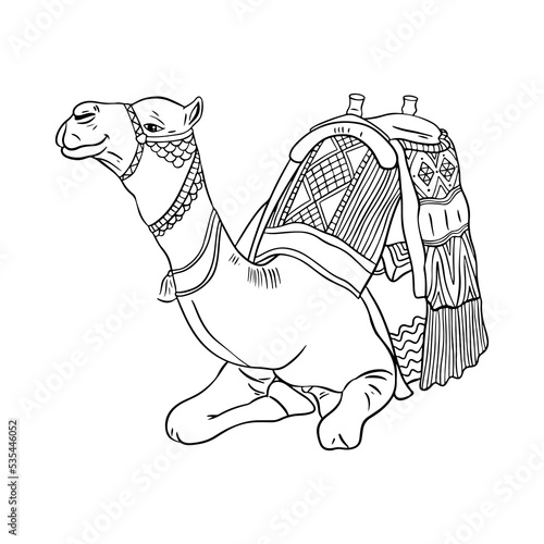 Camel outline vector illustration. Isolated vector illustration.