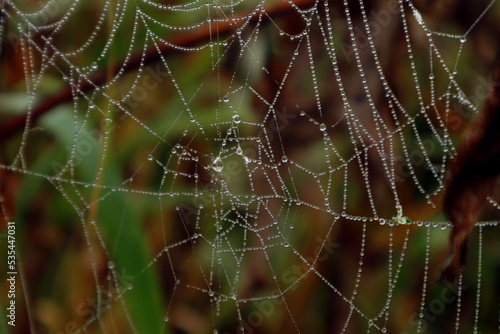  Autumn sketches: cobweb threads with dew drops on a multi-colored background, close-up