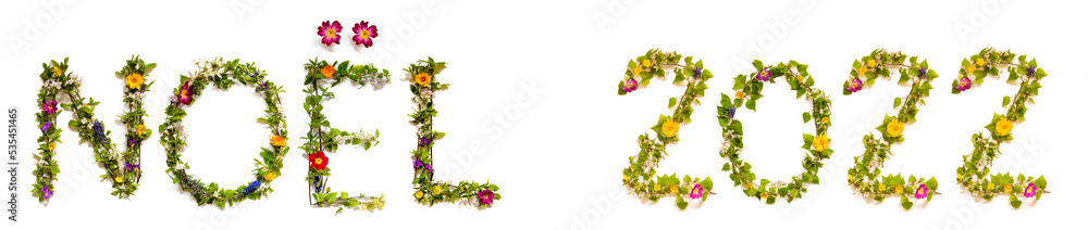 Flower And Blossom Letter Building Word Noel 2022 Means Christmas 2022
