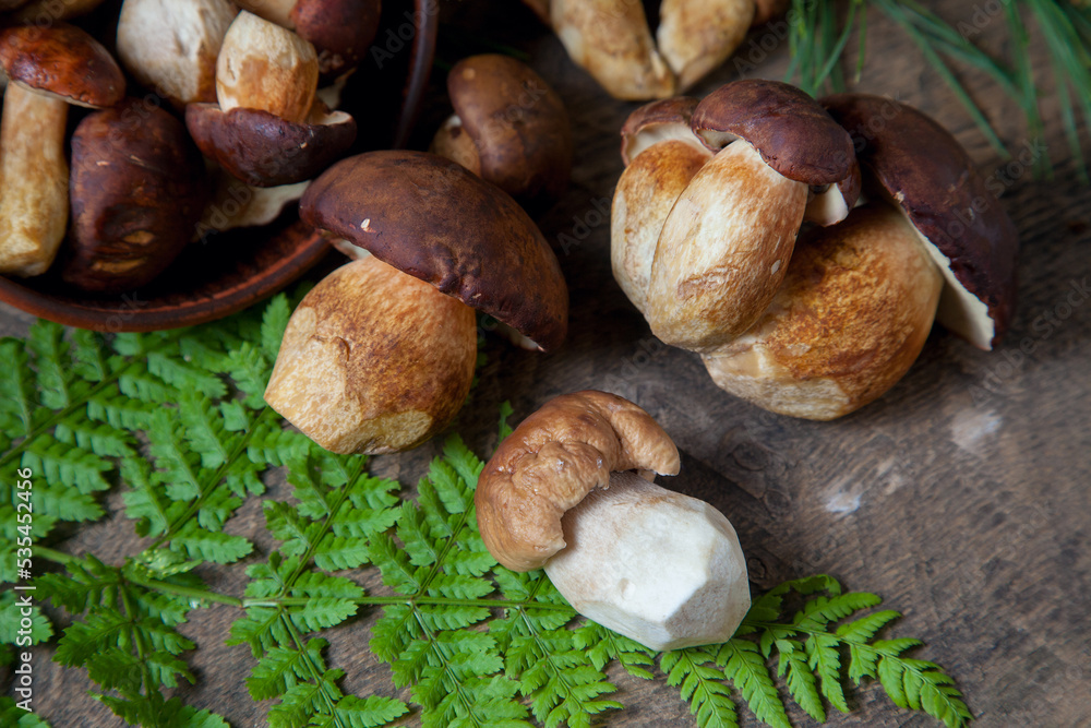 Fototapeta premium Imleria Badia or Boletus badius mushrooms commonly known as the bay bolete and Porcini mushroom commonly known as Boletus Edulis, clay bowl with mushrooms on vintage wooden background..